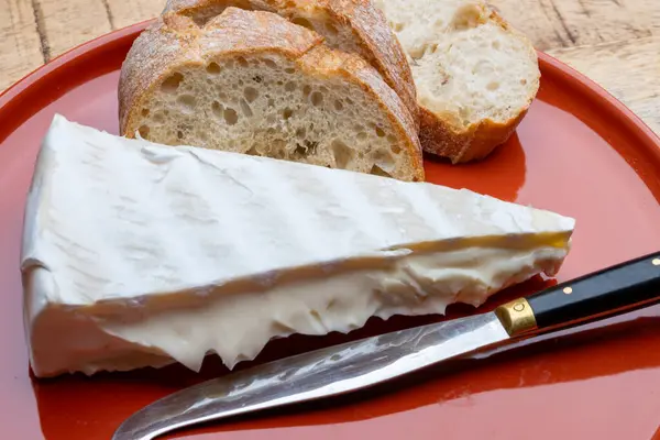 Piece French Soft Ripened White Mold Cow Milk Cheese Brie — 图库照片