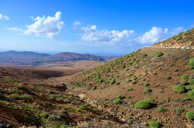 Fuerteventura adasındaki Kanarya volkanik manzarası ve dağlar, İspanya 'da kış tatili