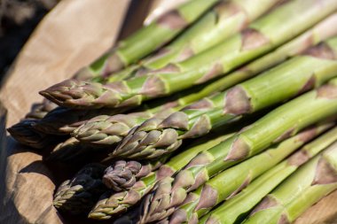 Limburg, Belçika 'daki biyolojik tarım tarlasında yetişen yeşil kuşkonmaz filizleri. Organik vejetaryen yiyecekler.