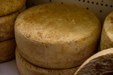 İnek, keçi ve koyun kavunundan yapılmış farklı Asturias, Kuzey İspanya 'daki peynir dükkanında sergilenmekte olan farklı Asturian peynirleri.