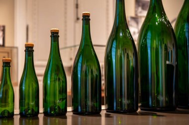 Farklı boyutlarda şampanya şişeleri, geleneksel şampanya yapımı Chardonnay ve pinor noir üzümleri, Epernay, Champagne, France