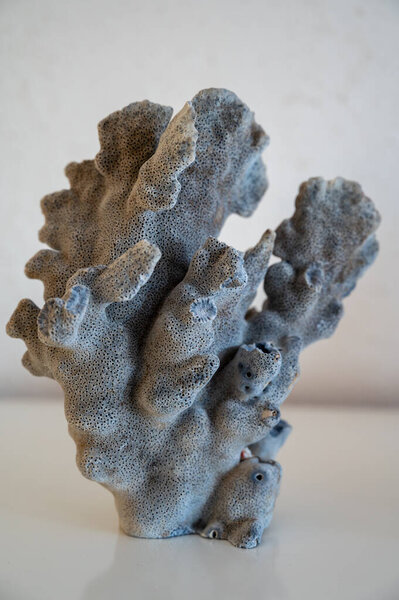 Hard dead blue and dark coral stones, underwater nature background close up