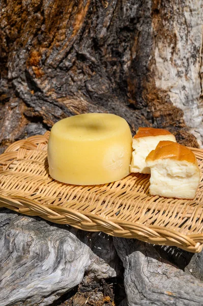 Different Cantabrian Cheeses Made Cow Goat Sheep Melk Farmers Cheese — Stock Photo, Image