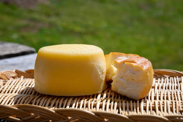 農家チーズショップで牛 羊のメルクから作られた異なるカンタブリアチーズ カンタブリアの山 北スペイン — ストック写真