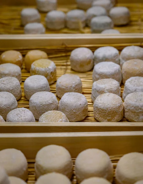 Peynir koleksiyonu, yumuşak keçi peyniri küflü Fransız peyniri Chavignol peyniri peynir tarlasında Sancerre yakınlarında üretiliyor.