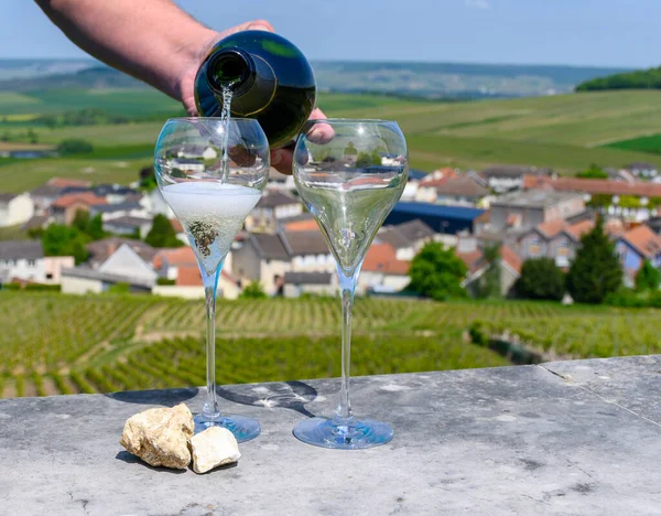 Büyük Cru köpüklü beyaz şarap, şampanya, yazlık manzaralı evler ve üzüm bağları, büyük Cru şarap üreticisi küçük köy Cramant, Champagne, France