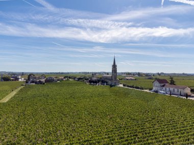 Pomerol 'da Saint-Emilion şarap üreten bölgede, Bordeaux' da sağ kıyıda Merlot ya da Cabernet Sauvignon kırmızı şarap üzümlerini hasat etmeye hazır kırmızı üzümlü hava manzarası.