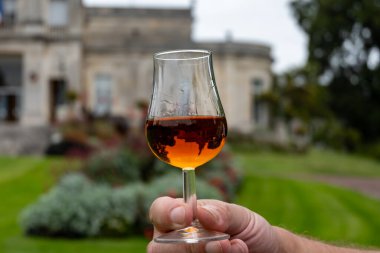 Konyak bölgesinde sert bir alkol içeceği tatmak, Charente 'nin arka planda Konyak kasabasının ollü evleri ve caddeleri, Fransa sonbahardır.