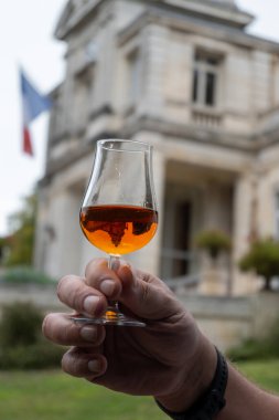 Konyak bölgesinde sert bir alkol içeceği tatmak, Charente 'nin arka planda Konyak kasabasının ollü evleri ve caddeleri, Fransa sonbahardır.