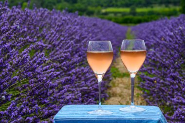 Fransız Provence 'de yaz mevsimi, Cotes de Provence' den soğuk gris gül şarabı ve Valensole platosundaki renkli lavanta tarlaları, Provence, Fransa 'nın tat ve aromaları..