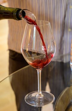 Şarap garsonu ya da şarap garsonu Grand Cru pinot noir üzüm bağlarından şarap dolduruyor, bir bardak şarap ve Burgundy Cote de Nuits şarap bölgesindeki yeşil üzüm bağlarına bakıyor..