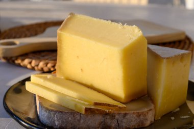 Peynir koleksiyonu, Fransız peyniri kontu, Beaufort, yakın çekim.