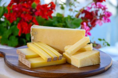 Fransız peyniri Cantal and Comte, üç çeşit, 1 yıl olgunlaşmış prestij, meyvemsi aromalı meyveler ve Vieille Reserve yakın plan.