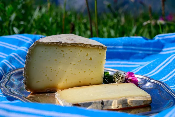 チーズコレクション フランスアルプスのサヴォイ地方からトム サヴォヴィーチチーズ 穏やかな牛のミルクチーズは 屋外で提供しました フランスのアルプ山脈の緑の牧草地を眺めます — ストック写真
