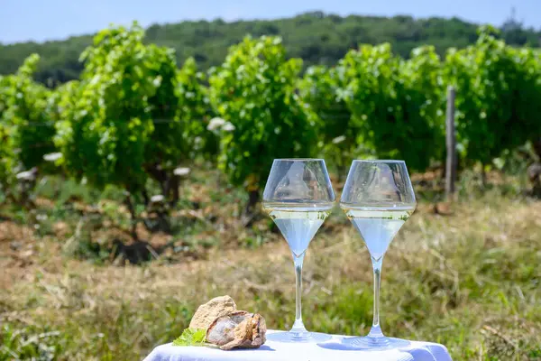 Glasses of white wine from vineyards of Pouilly-Fume appelation and example of flint pebbles soil, near Pouilly-sur-Loire, Burgundy, France.