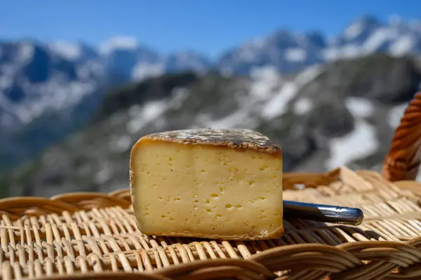 奶酪系列 法国阿尔卑斯山萨伏伊地区的Tomme Savoie奶酪 户外供应的轻度奶牛乳酪 可以看到法国阿尔卑斯山脉的雪峰 — 图库照片