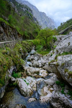 Şelale Los Arenas 'tan uzak dağ köyü Sotres, Picos de Europa dağları, Asturias, İspanya' nın kuzeyi, dağ ve vadi manzaralı.