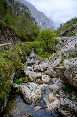 Los Arenas 'tan uzak dağ köyü Sotres' e, Picos de Europa dağlarına, Asturias 'a, İspanya' nın kuzeyine uzanan dar dağ yolu, vadi ve dağların manzarası.