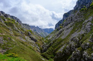 Los Arenas 'tan uzak dağ köyü Sotres' e, Picos de Europa dağlarına, Asturias 'a, İspanya' nın kuzeyine uzanan dar dağ yolu, vadi ve dağların manzarası.