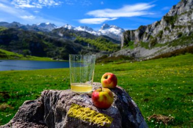 Elmalı mayalanmış elmadan yapılmış doğal Asturian şarabı. Covadonga Gölü manzaralı. Picos de Europa dağlarının tepeleri, İspanya.