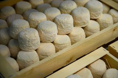 Peynir koleksiyonu, yumuşak keçi peyniri küflü Fransız peyniri Chavignol peyniri peynir tarlasında Sancerre yakınlarında üretiliyor.