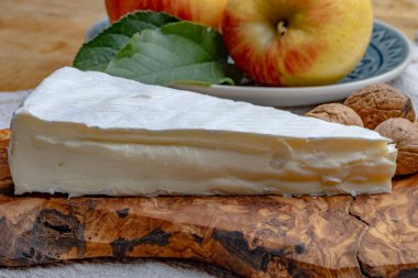 Piece of french soft-ripened white mold cow milk cheese brie produced in Seine-et-Marne region, France, close up