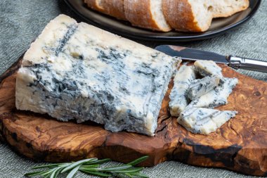 Peynir koleksiyonu, İtalya 'nın kuzeyinden mavi küflü İtalyan peynirli gorgonzola picante.