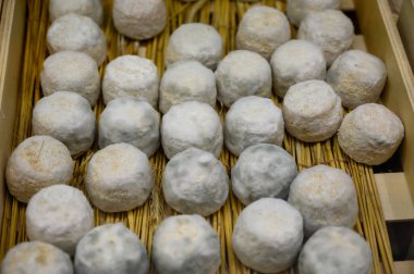 Peynir koleksiyonu, yumuşak keçi peyniri küflü Fransız peyniri Chavignol peyniri peynir tarlasında Sancerre yakınlarında üretiliyor.