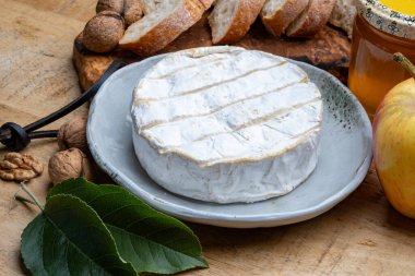 Fransız peyniri, orijinal Camembert de Normandie peyniri, beyaz küfle kaplayın.