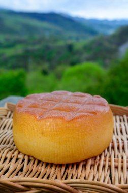 Picos de Europa dağlarının yeşil yamaçlarında, Asturias 'taki Pria köyünden İspanyol füme inek peyniri servis edildi.