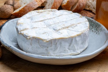 Fransız peyniri, orijinal Camembert de Normandie peyniri, beyaz küfle kaplayın.