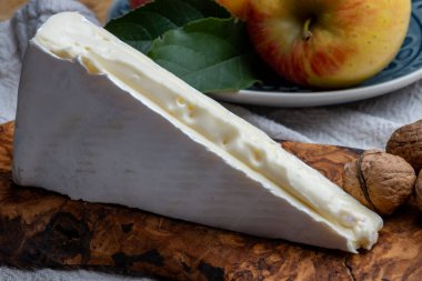 Piece of french soft-ripened white mold cow milk cheese brie produced in Seine-et-Marne region, France, close up
