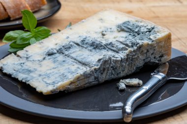 Peynir koleksiyonu, İtalya 'nın kuzeyinden mavi küflü İtalyan peynirli gorgonzola picante.