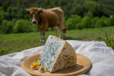 Kabrallar, İspanya 'nın Asturias kentindeki kırsal süt çiftçileri tarafından pastörize edilmemiş ineklerden yapılan mavi peynirler veya arka planda Picos de Europa dağları ile keçi ya da koyun sütüyle harmanlanmış sütler.