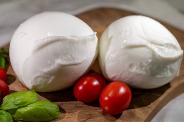 İki küçük İtalyan yumuşak peyniri Mozzarella di Bufala Campana taze yeşil fesleğen ve kırmızı Sicilya domatesleriyle servis edilir.