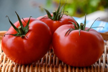 Tatlı, olgun, kırmızı Fransız domatesleri yazın Provence 'deki çiftçi pazarında.