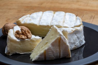 Fransız peyniri, orijinal Camembert de Normandie peyniri, beyaz küfle kaplayın.