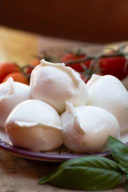 Beyaz küçük İtalyan yumuşak peyniri Mozzarella di Bufala Campana topları taze yeşil fesleğen ve kırmızı Sicilya domatesleriyle servis edilir.