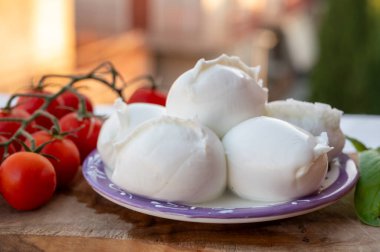 Beyaz küçük İtalyan yumuşak peyniri Mozzarella di Bufala Campana topları taze yeşil fesleğen ve kırmızı Sicilya domatesleriyle servis edilir.