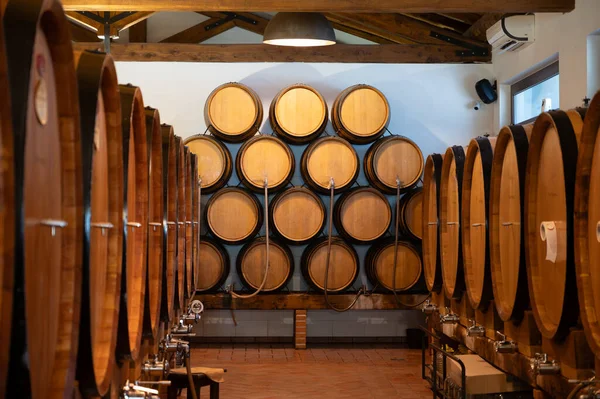意大利拉齐奥 大桶和小桶中的白葡萄酒 玫瑰酒 红葡萄酒和甜葡萄酒 在酒窖中出售 — 图库照片