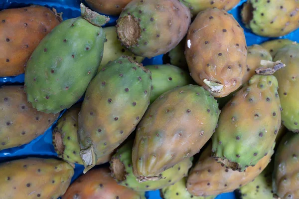 Frutas Comestibles Jugosas Maduras Opuntia Peras Espinosas Cactus Listos Para — Foto de Stock