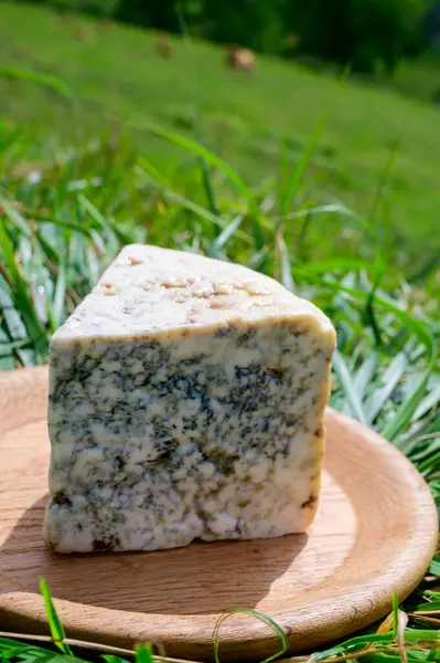 Zelí Řemeslný Plísňový Sýr Vyráběný Venkovskými Chovateli Mléka Asturii Španělsku — Stock fotografie