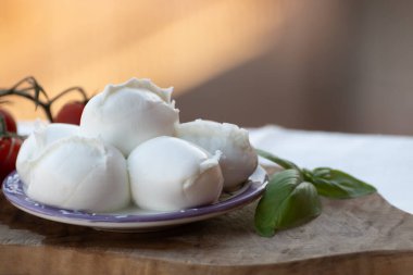 Beyaz küçük İtalyan yumuşak peyniri Mozzarella di Bufala Campana topları taze yeşil fesleğen ve kırmızı Sicilya domatesleriyle servis edilir.