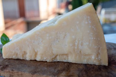 Geleneksel İtalyan yemekleri - 36 aylık mağaralarda Parma, Parmigiano-Reggiano, İtalya 'dan İtalyan parmesanlı sert inek sütlü peyniri