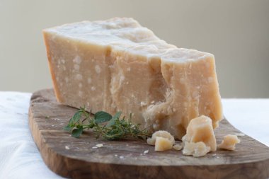Geleneksel İtalyan yemekleri - 36 aylık mağaralarda Parma, Parmigiano-Reggiano, İtalya 'dan İtalyan parmesanlı sert inek sütlü peyniri