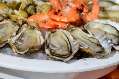 Taze Fransız Gillardeau istiridye yumuşakçaları kabuklu, karidesli, limonlu yakından yemeye hazır, Marienne-Oleron, Fransa
