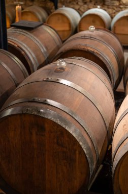 Barsac köyü Sauternes üzüm bağlarındaki eski şarap mahzeninde meşe ağacı fıçıları ve Bordeaux, Fransa 'da tatlı tatlı Sauternes şaraplarından yapılan Botrytis cinerea soylu çürümesinden etkilenen üzümler.