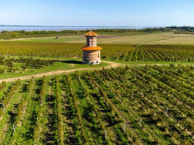 Aerial view on green vineyards, Gironde river, wine domain or chateau in Haut-Medoc red wine making region, , Bordeaux, left bank of Gironde Estuary, France clipart