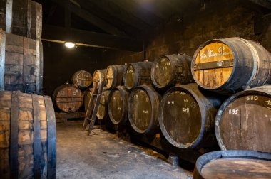 Eski koyu Fransız meşe fıçılarında konyak ruhunun yaşlanma süreci içki imalathanesinde, konyak beyaz şarap bölgesinde, Charente, Segonzac, Grand Champagne, Fransa