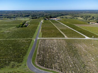 Sauternes köyünün ve üzüm bağlarının hava manzarası, Semillon üzümlerinden yapılan tatlı Sauternes şarapları Botrytis cinerea Noble rot, Bordeaux, Fransa